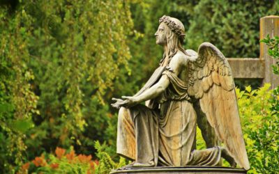 Ogłoszenia Parafialne XXXI Niedziela Zwykła 05.11.2023