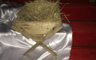 Ogłoszenia Parafialne – III Niedziela Adwentu 12.12.2021