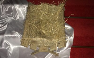 Ogłoszenia Parafialne – III Niedziela Adwentu 17.12.2023