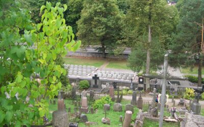 Ogłoszenia Parafialne – XXX Niedziela Zwykła 29.10.2023