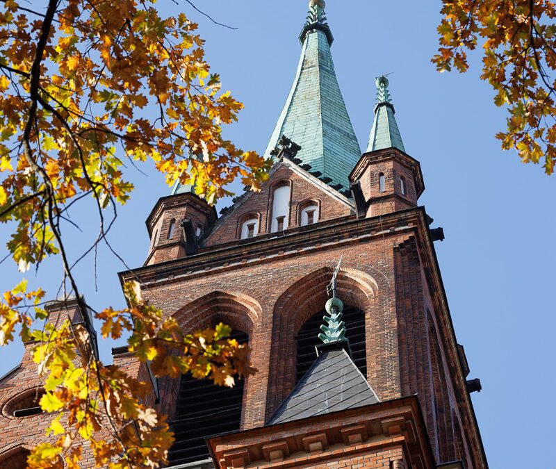 Ogłoszenia Parafialne – XXX Niedziela Zwykła 25.10.2026